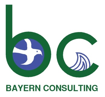Bayern Consulting