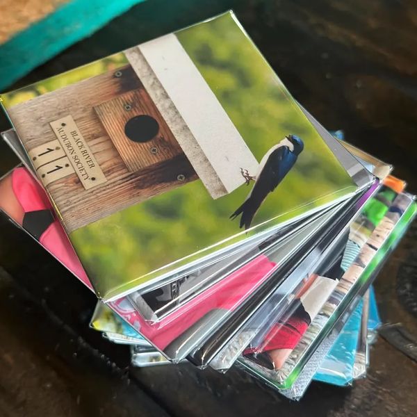 photo magnets