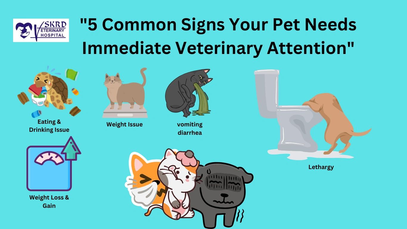 5 Common Signs Your Pet Needs Immediate Veterinary Attention