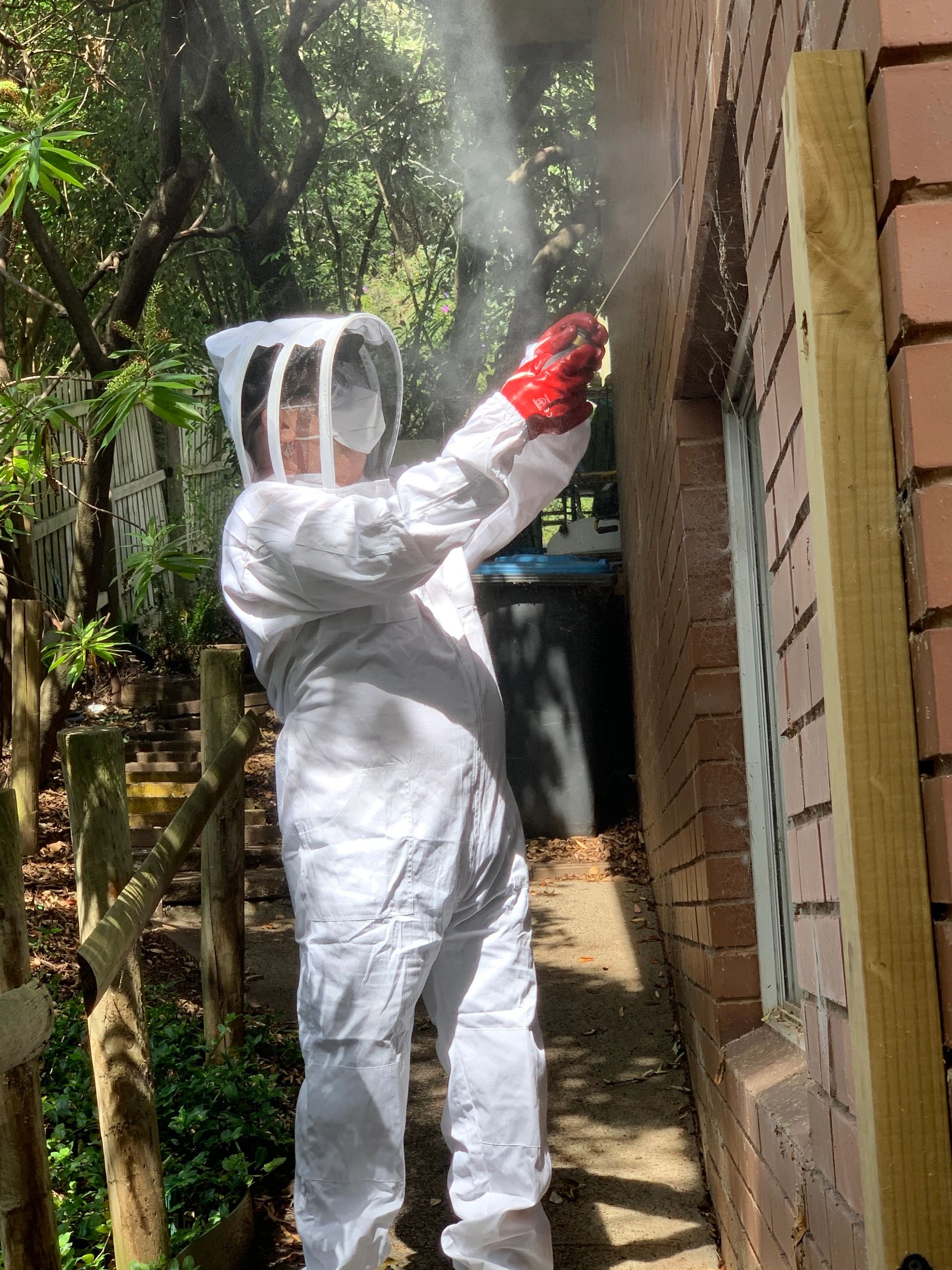 Pest Control Melbourne Eastern Suburbs