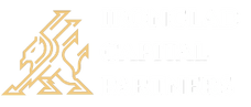 IRONCLAD CAPITAL PARTNERS