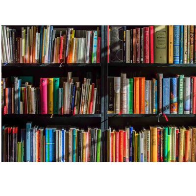 Colorful books neatly arranged on black shelves.