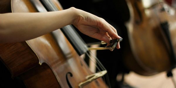 Hand tuning a cello's peg with another cello in the background.