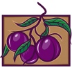 Plum Financial Services LLC