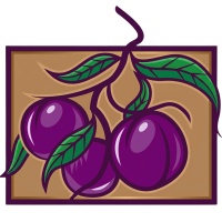 Plum Financial Services LLC