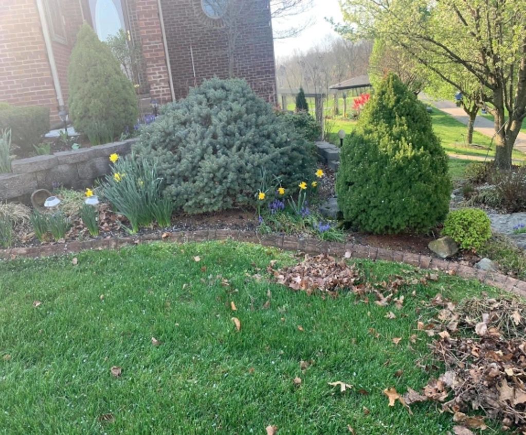 Spring cleanup serviced by Quality Cuts Lawn and Landscape LLC