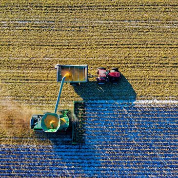 An agricultural field being harvested.