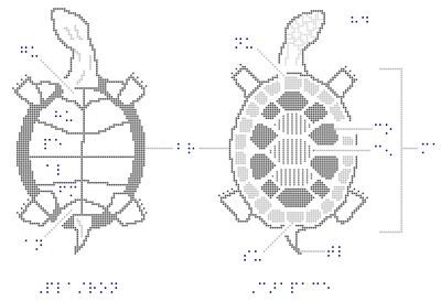 Tactile graphic image of a turtle.