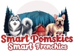Smart Pomskies 