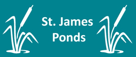 St. James Ponds