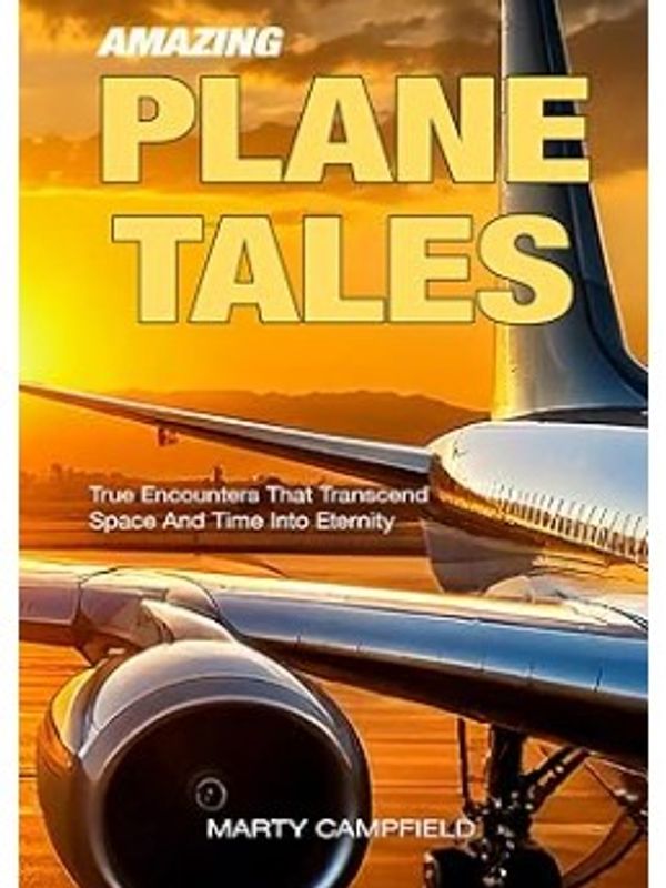 Book cover showing an airplane wing and engine at sunset with title 'Amazing Plane Tales'.