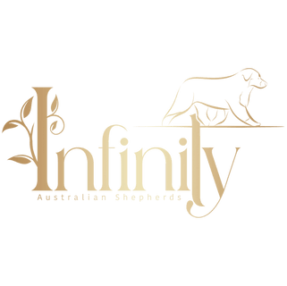  Infinity