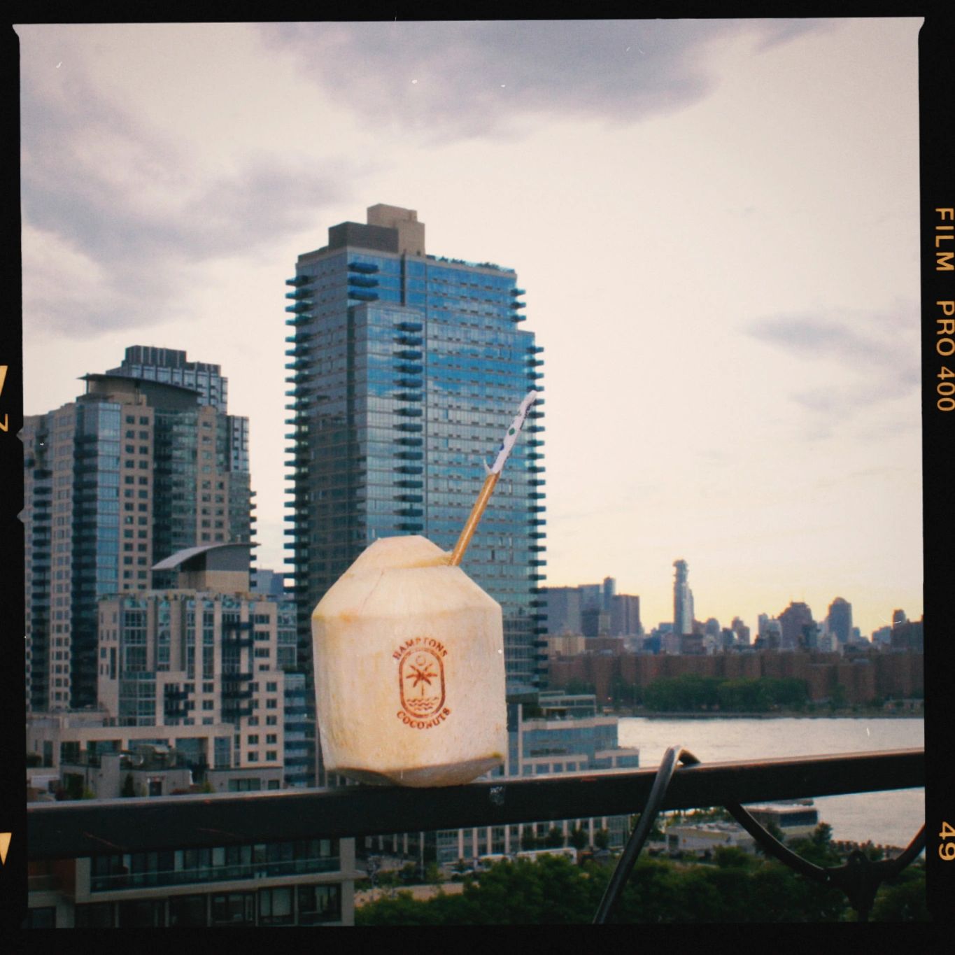 One fresh branded coconut sits on a ledge overlooking New York City and the Hudson.