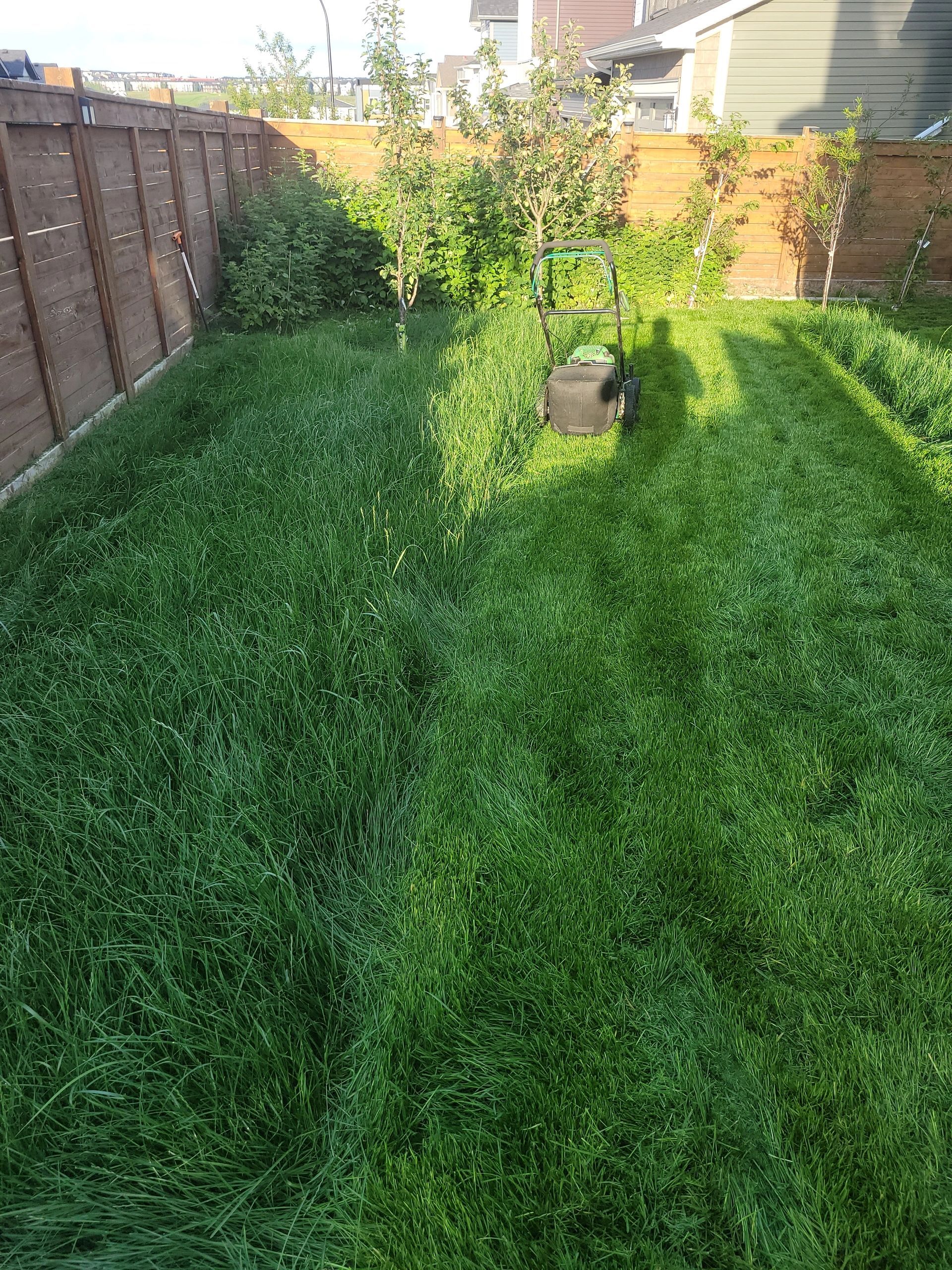 A lawn mower cutting tall grass in a backyard.