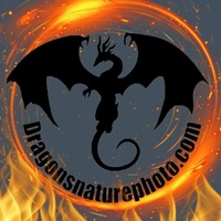 Dragon's Nature Photography, LLC.