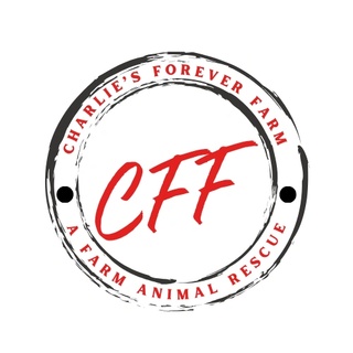 Click Here For Murphy Bar Raffle Tickets!!!