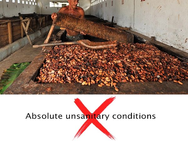 Absulute unsanitary conditions... Why is it common to deep roast cocoa beans?
