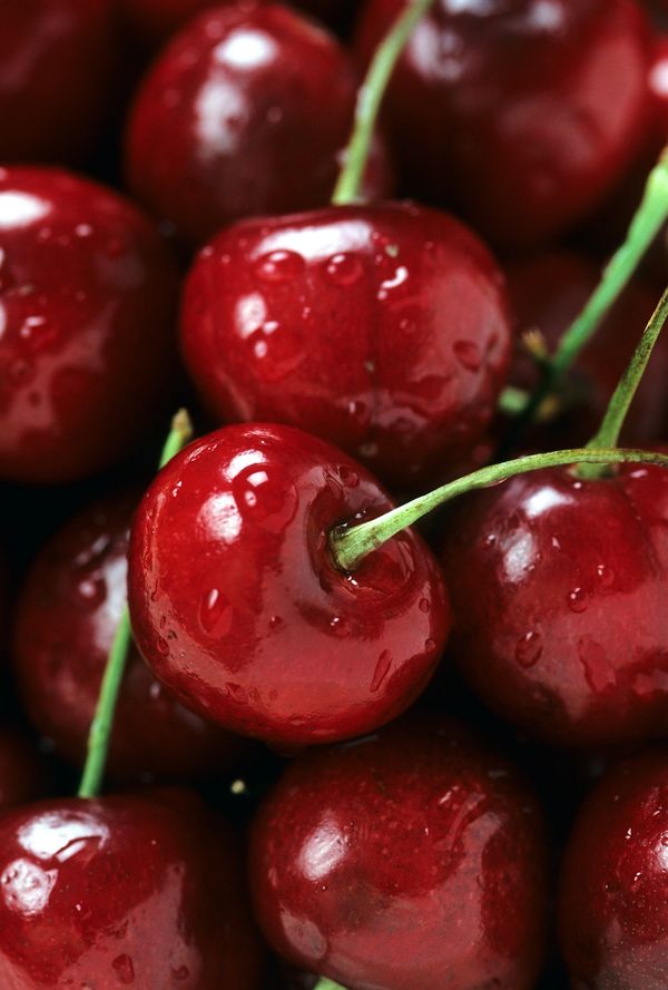 Delicious succulent cherries