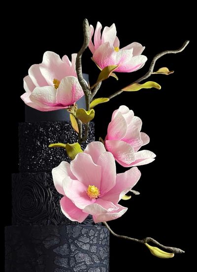 Sugar Magnolias  on a black cake By Durham City Cakes 