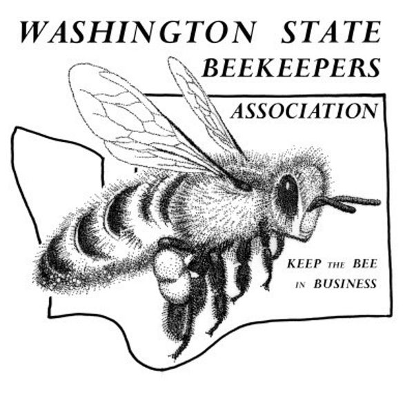Washington ranked No. 8 best state for beekeeping, Washington