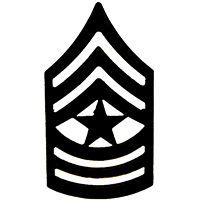 Army Rank Staff Sergeant Major Pin Subdued