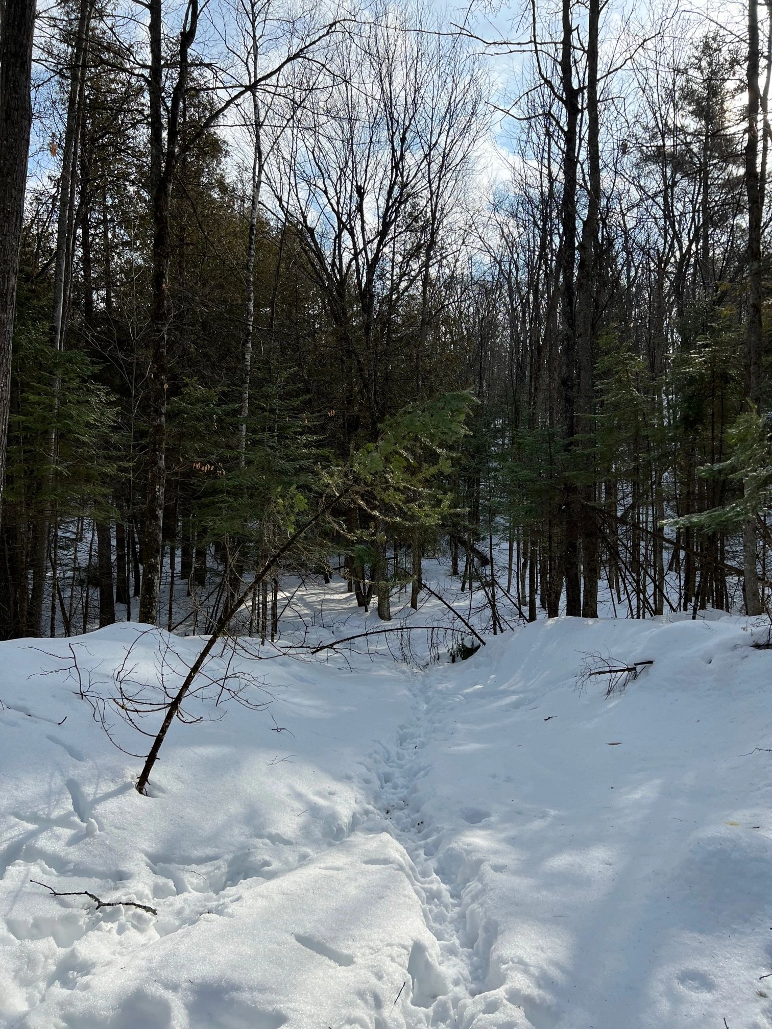 The Boreal's Edge Cabin Rental, Luxury Cabin Rental