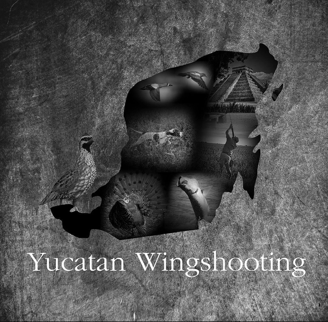 Yucatan Wingshooting