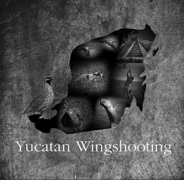 Map of Yucatan with hunting and wildlife images inside, highlighting wingshooting.