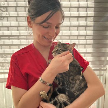 Aşısı yapılmış mutlu bir kedi ve kedi dostu veteriner hekim.