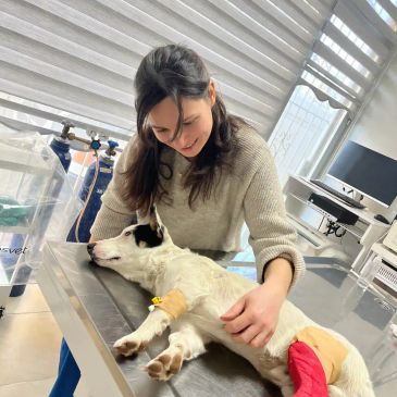 Başarılı bir cerrahi operasyon sonrası kontrol muayenesi.
