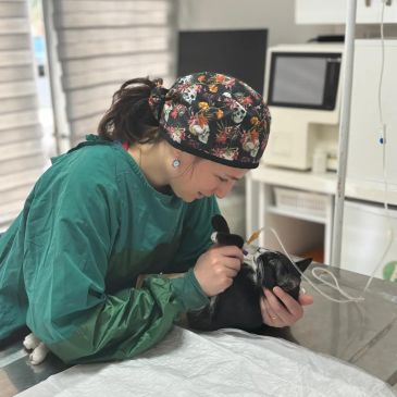 Anesteziden sorunsuz uyanan bir kedi ve sevgi dolu veteriner hekim.