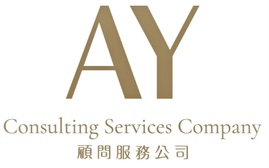 AY Consulting services