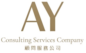 AY Consulting services