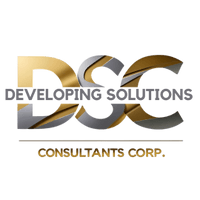 Developing Solutions Consultants