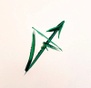 VineRise Ventures