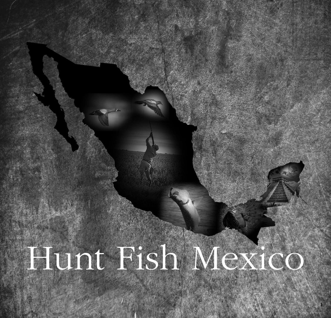 Hunt Fish Mexico