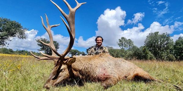 elk hunting