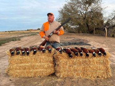 wild pheasant hunting 