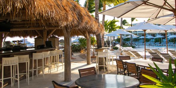 view from the tiki bar