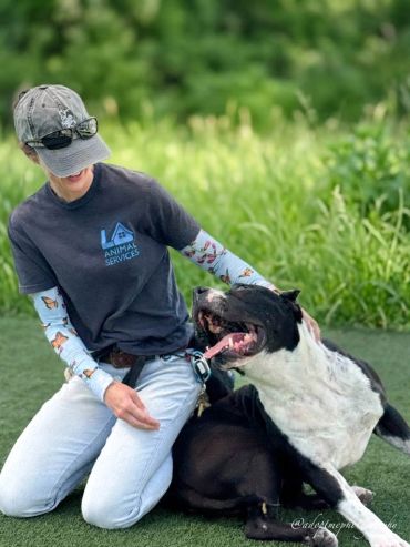 Person kneeling and affectionately petting a black and white dog.