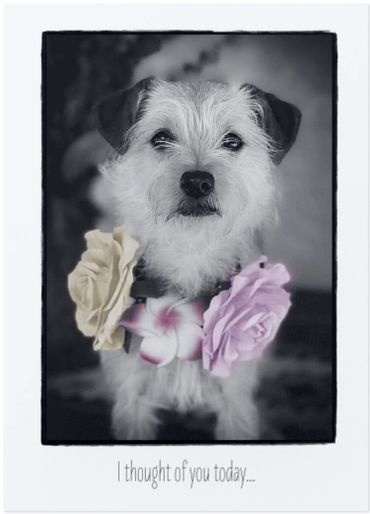 A dog with flowers around its neck and the caption 'I thought of you today...'.