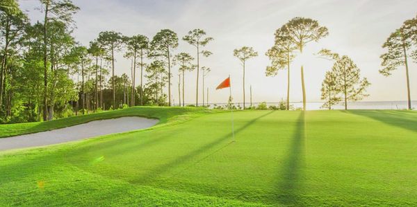 Golf course green with flag and sand bunker under soft sunlight.