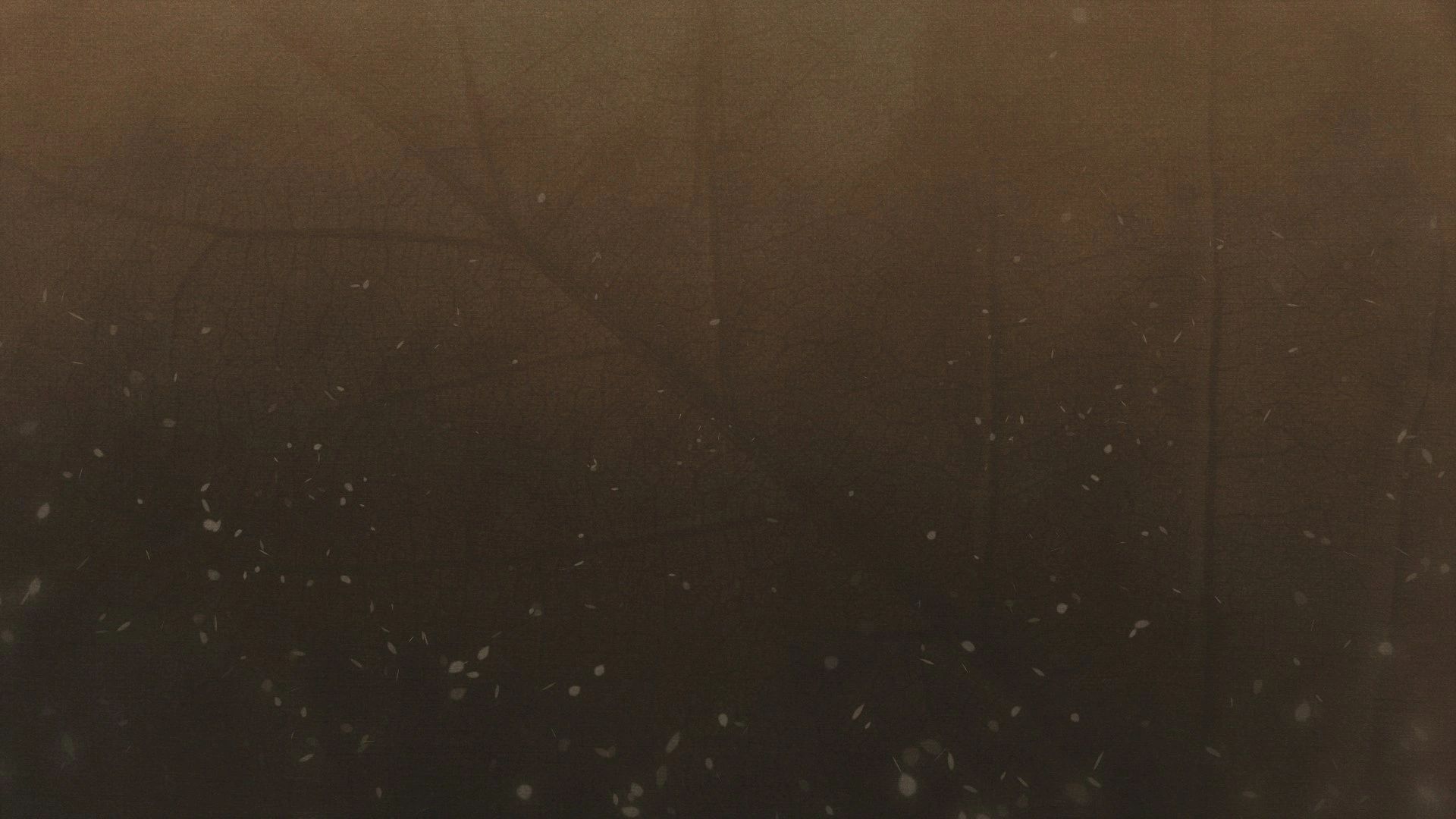 Calvary Chapel Church