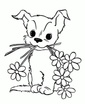 Dog House Floral