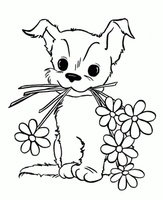 Dog House Floral