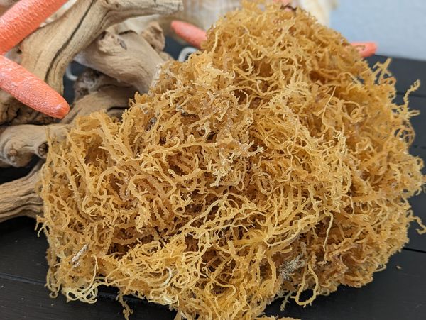 Wild crafted Sea Moss 