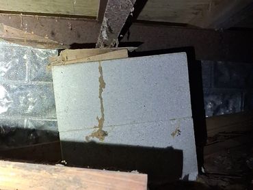 Subterranean termite mud tubes on a crawlspace pier found during a Kelso, TN home inspection.