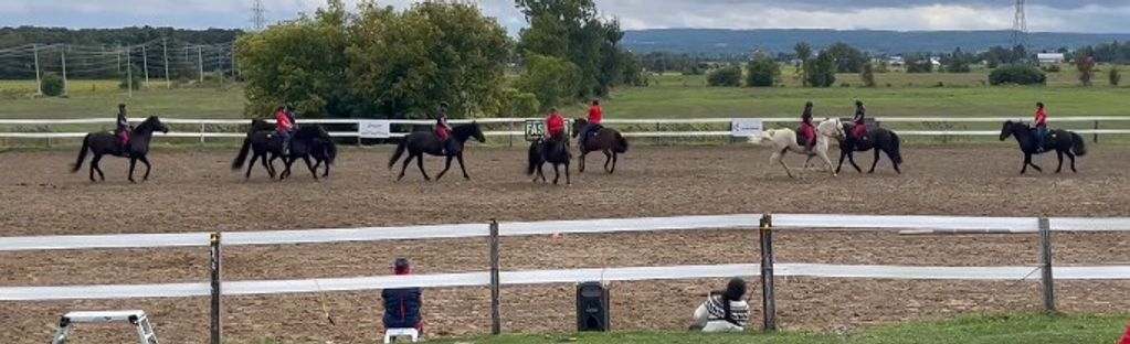 Group of people riding horses in a fenced arena with spectators watching.