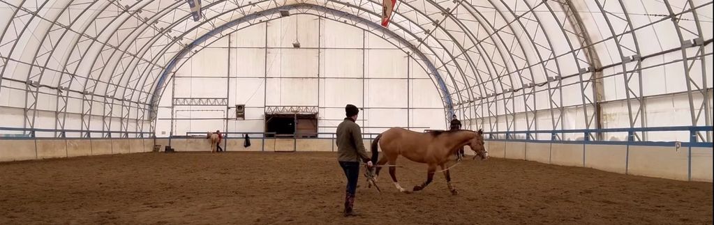 Person leads horse inside a large indoor riding arena with curved roof.
