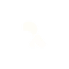 Raaxdot